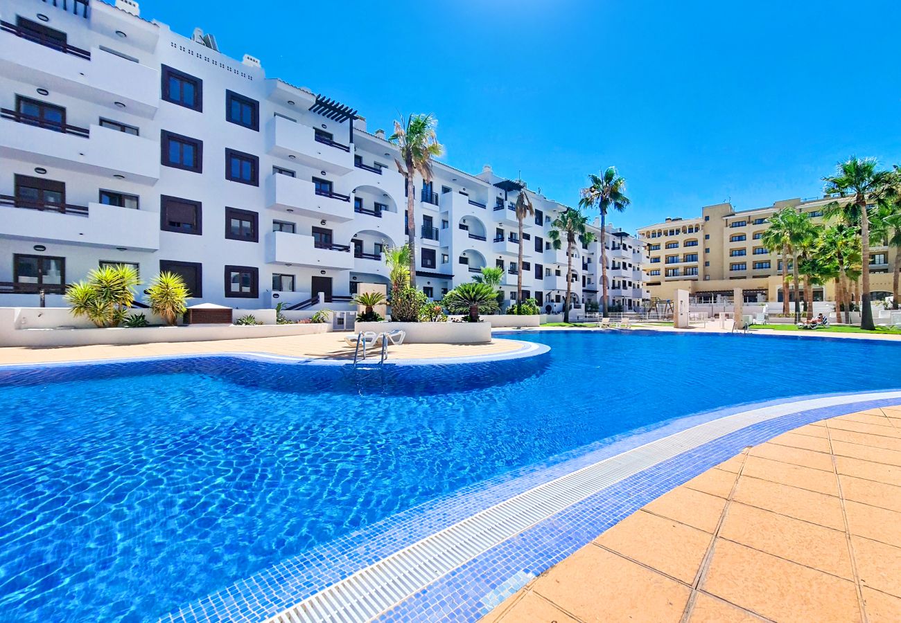 Modern one-bedroom apartment with pool views at La Serena Golf Resort